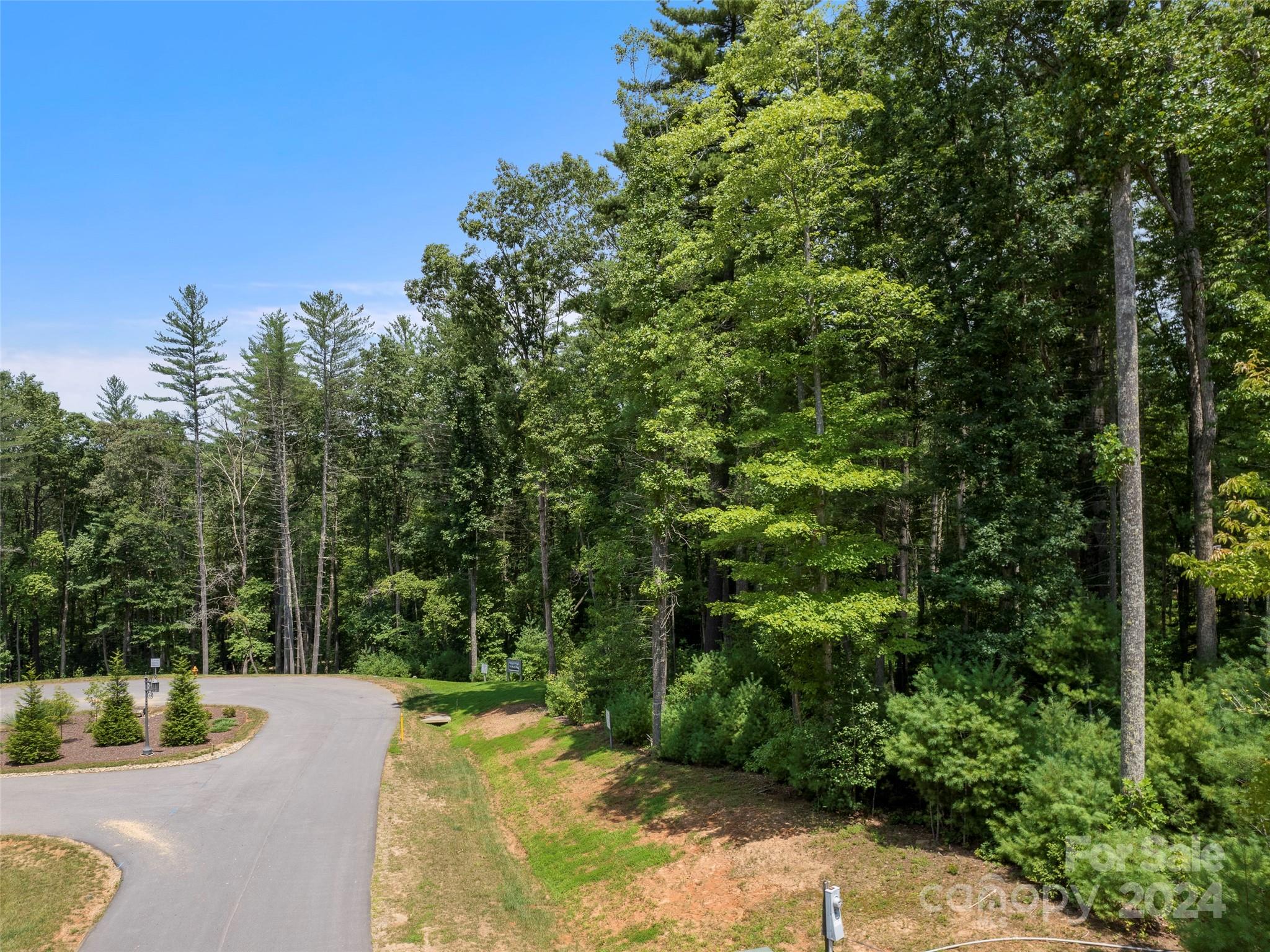 Ramble Biltmore Forest - Land