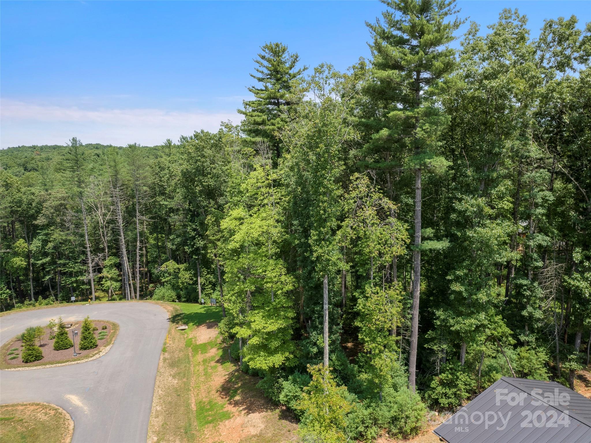 Ramble Biltmore Forest - Land