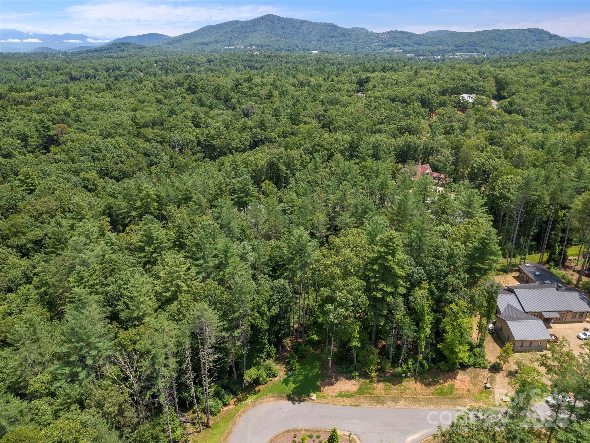 323 Flowering Vine Court 617