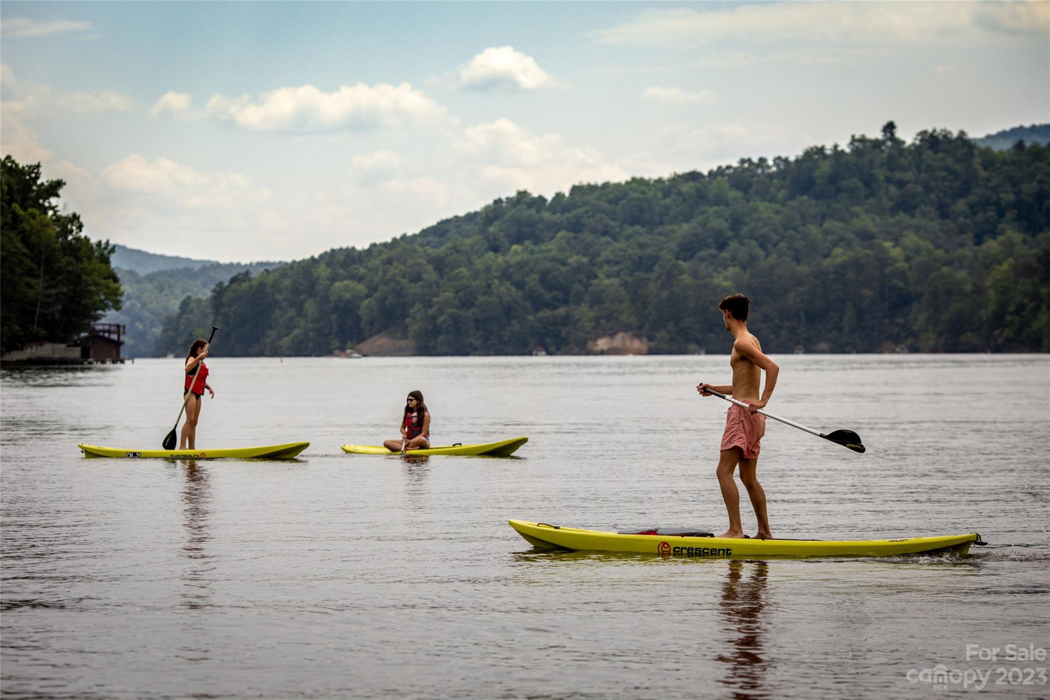Rumbling Bald on Lake Lure - Residential