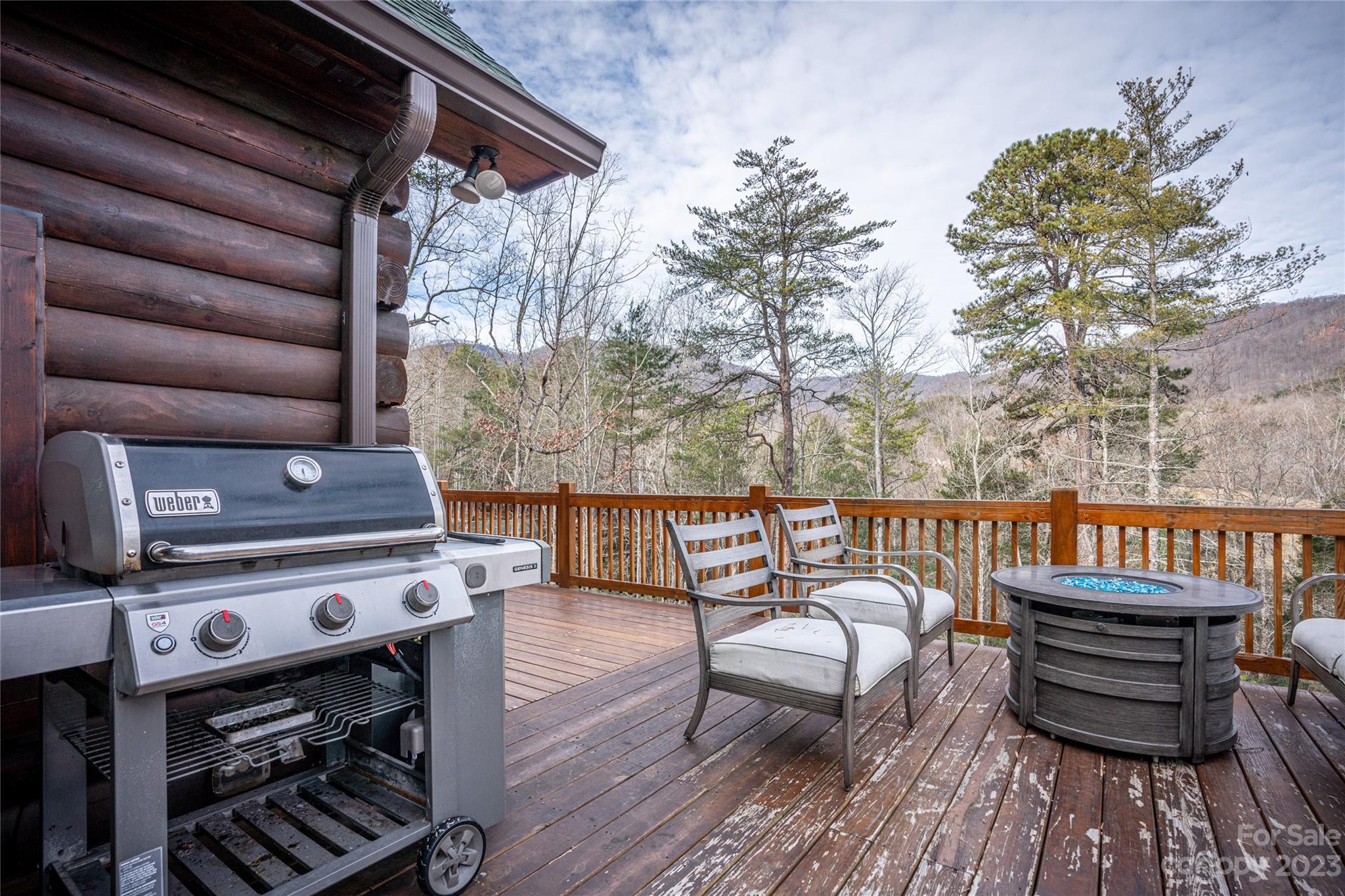 Rumbling Bald on Lake Lure - Residential