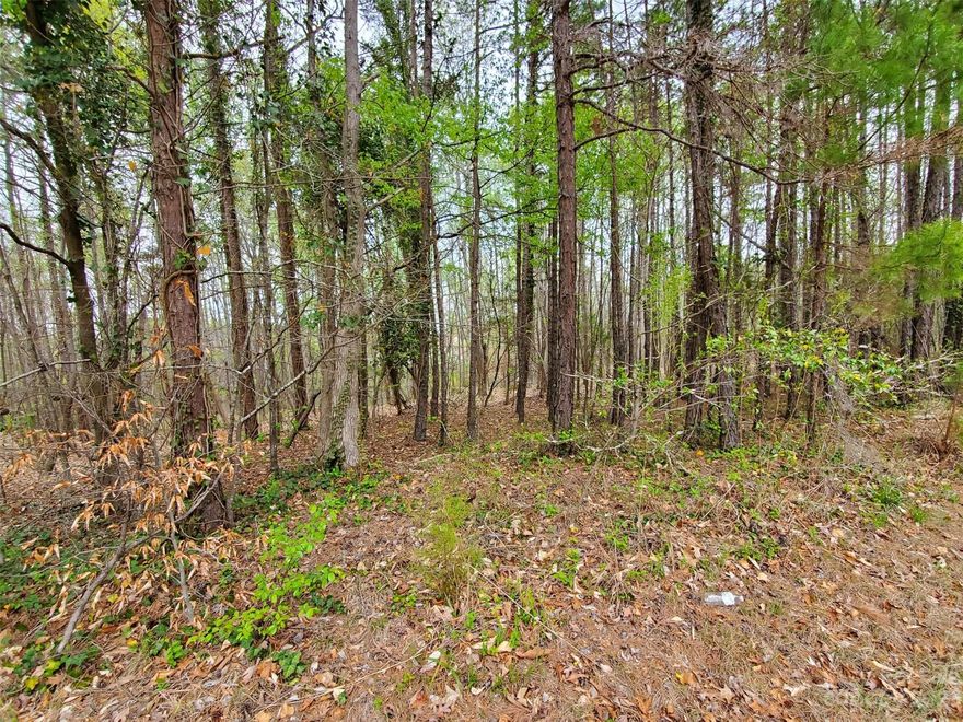 Bring your builder or use our preferred builder. This 1-acre plus homesite is located in The Avalon Subdivision, an exclusive, boutique, transitional styled community in Weddington. This neighborhood consist of 5 one acre plus parcels with only 2 are remaining. County water and septic. Subdivision has only removed necessary trees leaving plenty of mature hardwoods providing privacy, curb appeal and value. Weddington Schools, Antioch Elementary, Weddington Middle and High School. Easy access to shopping, restaurants, entertainment while maintaining a little bit of country living.