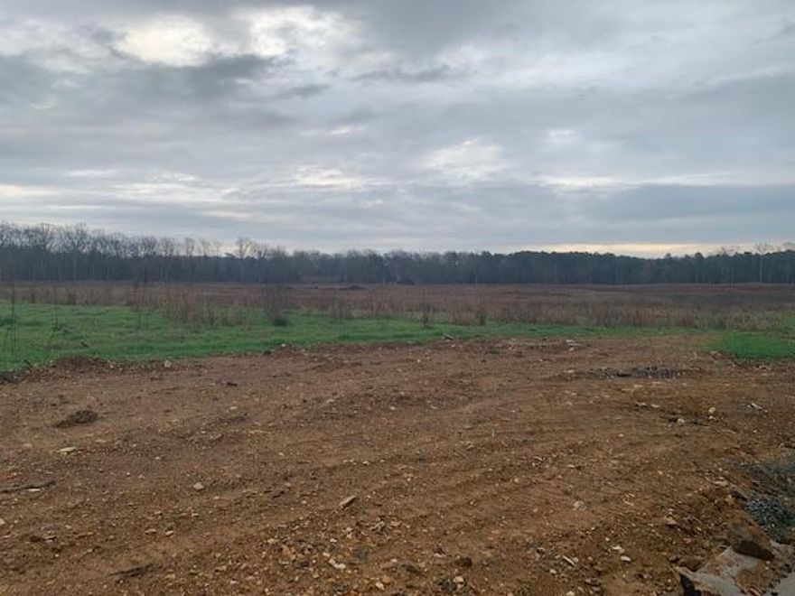 Great opportunity for a SF development or investment property. Located near Olde Sycamore Golf Club. Water and sewer are located on adjacent Ashe Meadows development. Sewer taps and approval would be from Mecklenburg County.