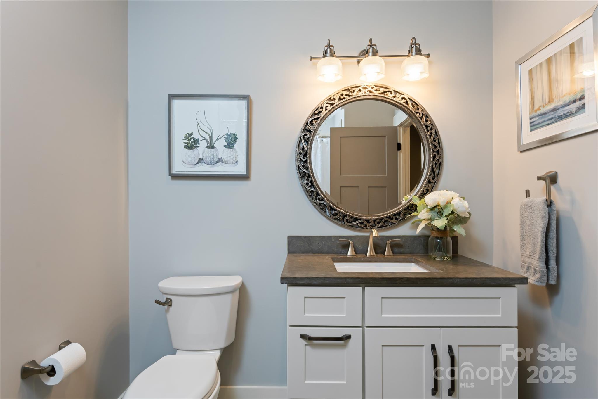 Homestead at Mills River - Residential