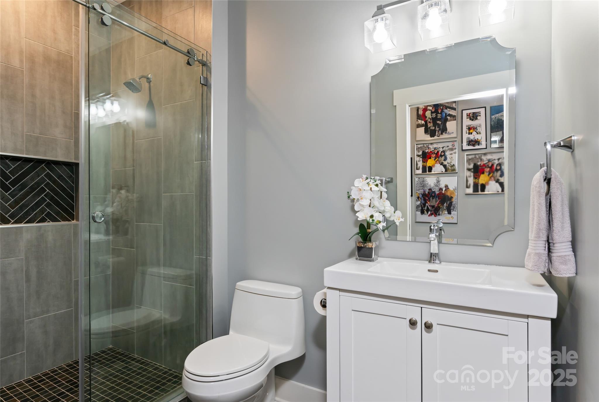 Homestead at Mills River - Residential