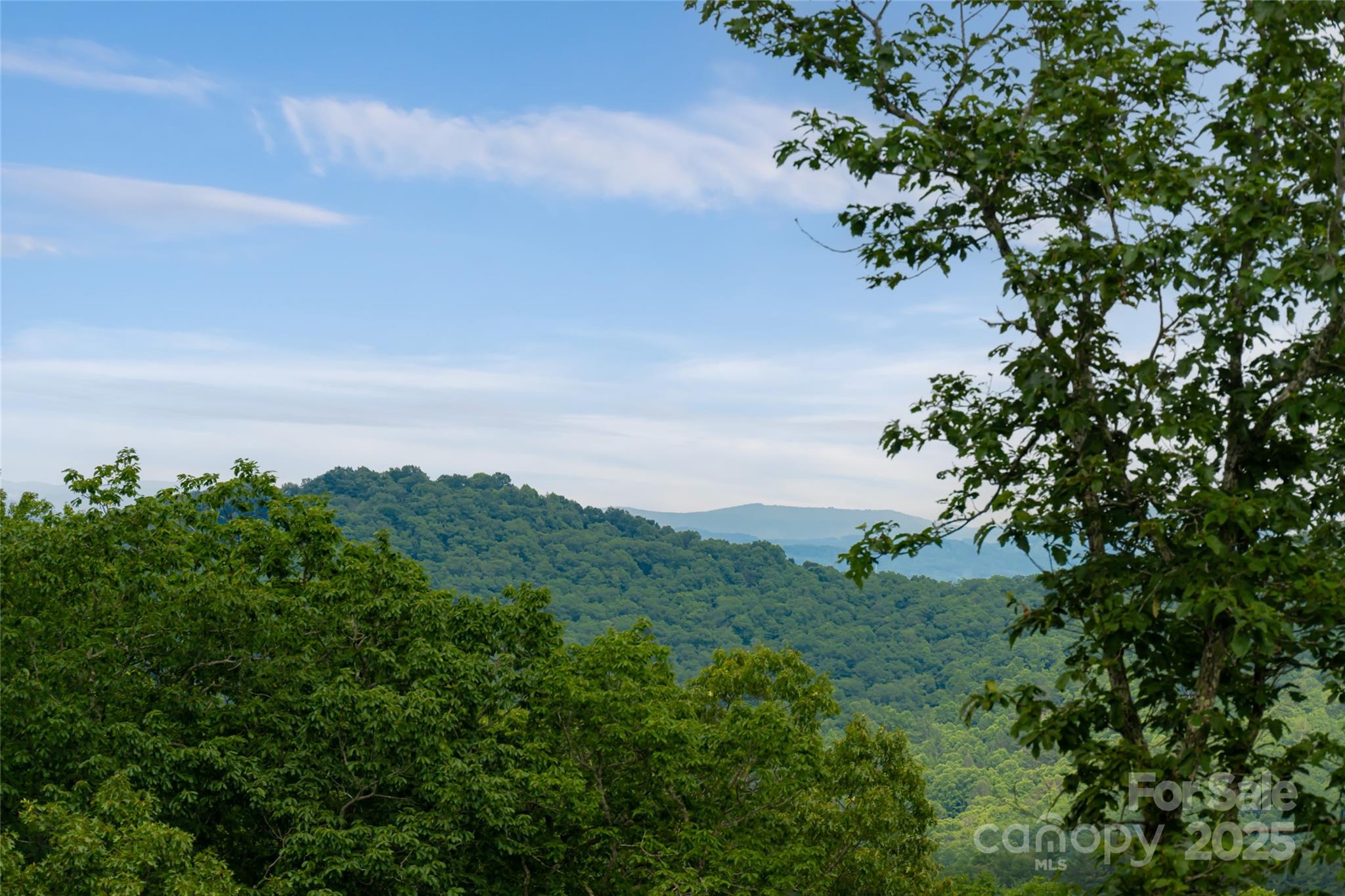 Homestead at Mills River - Residential