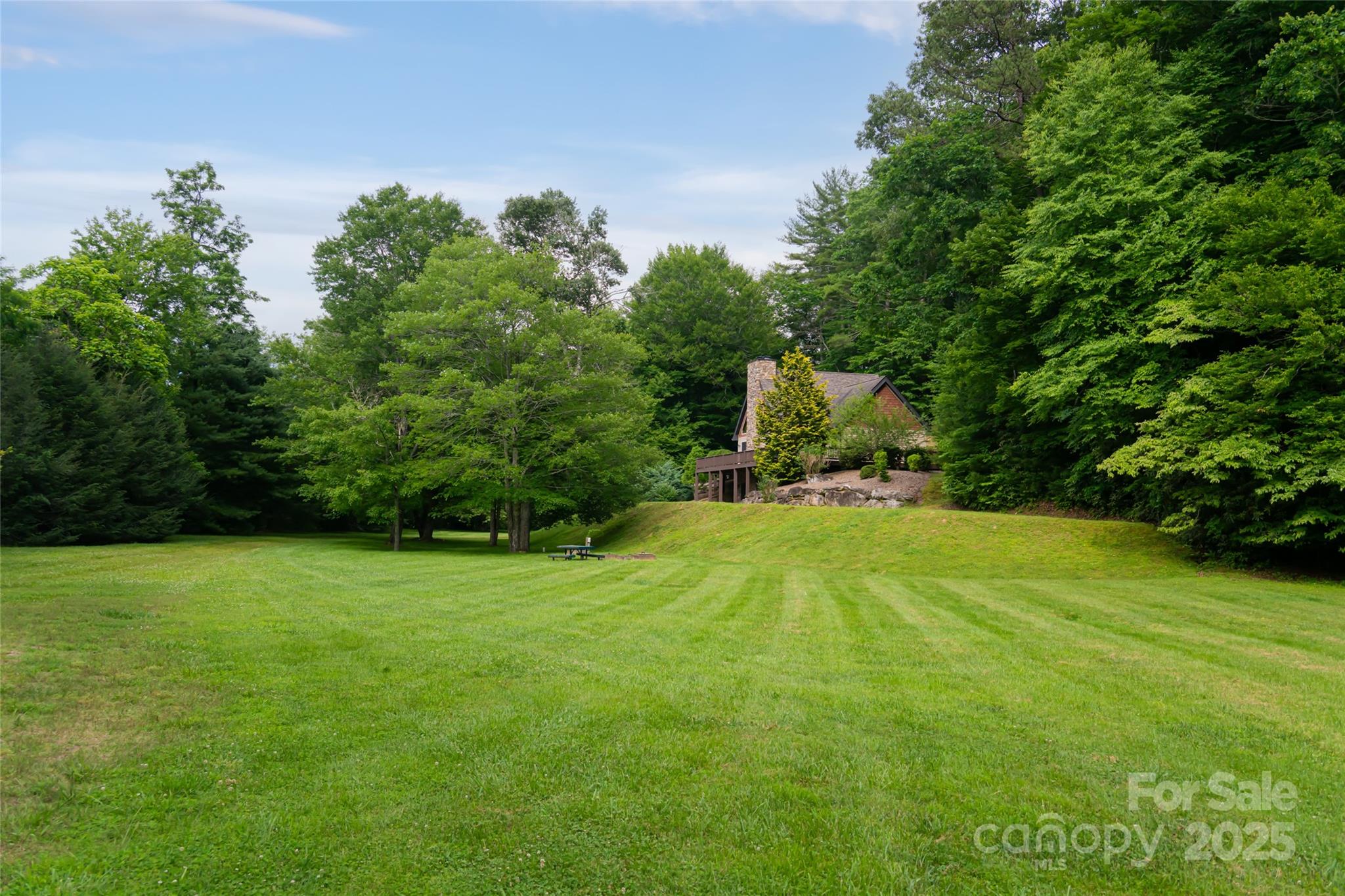 Homestead at Mills River - Residential