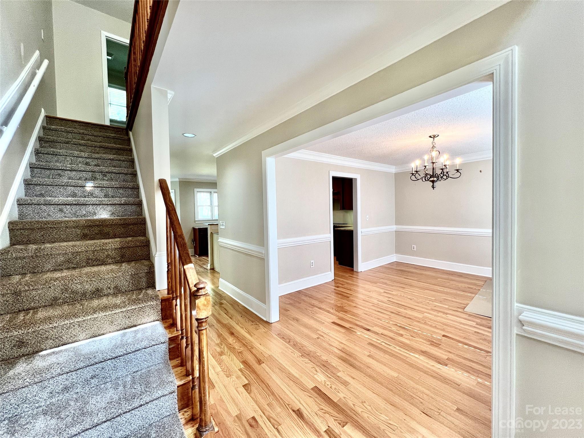 Steeple Chase - Residential Lease