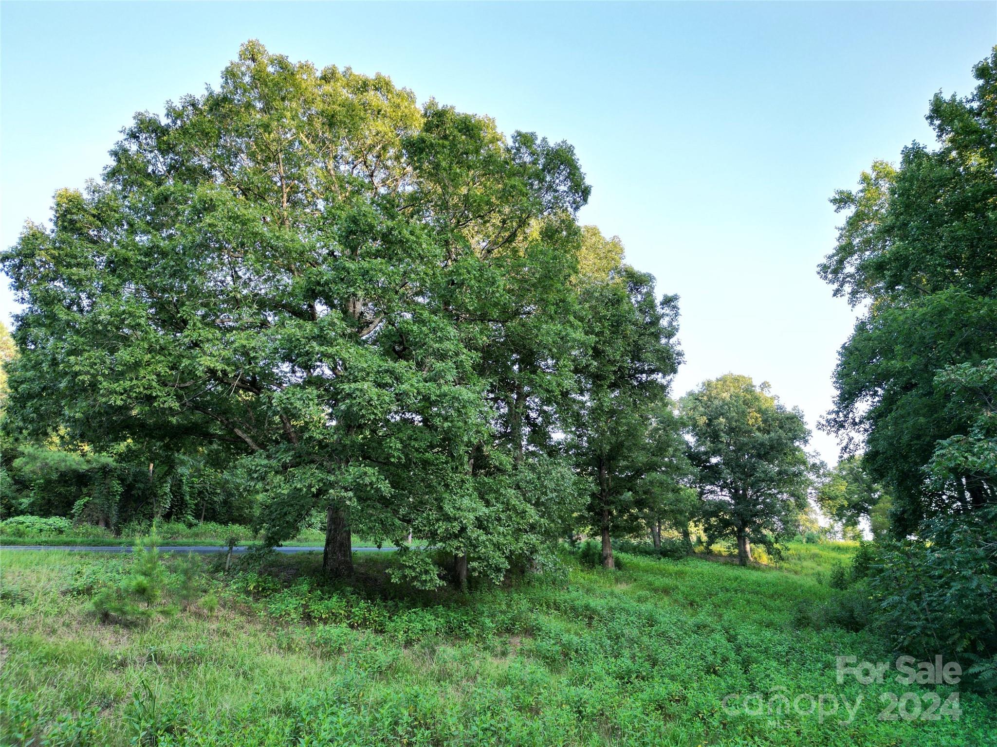 Country Club Estates - Residential