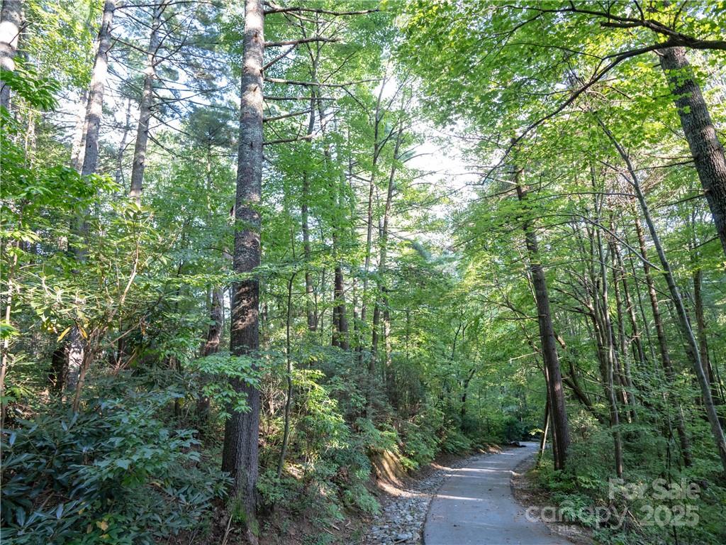 Lake Toxaway Estates - Land
