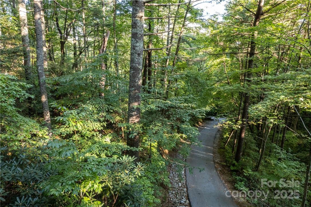 Lake Toxaway Estates - Land