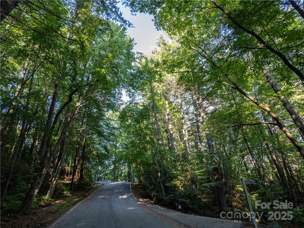 Lake Toxaway Estates - Land