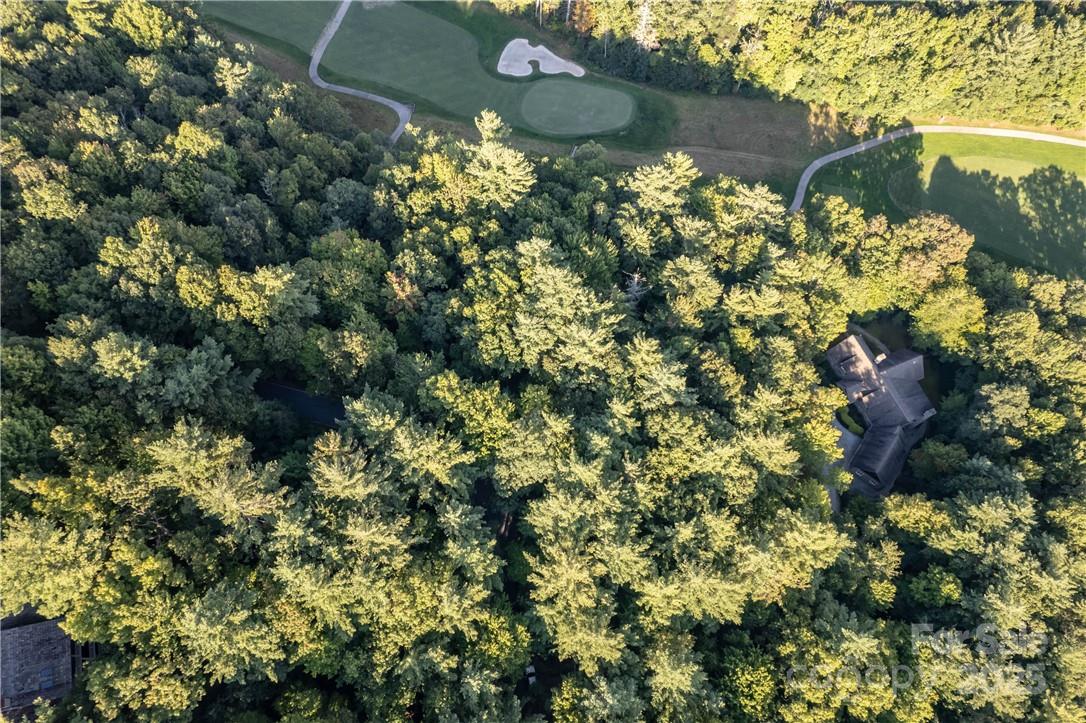 Lake Toxaway Estates - Land