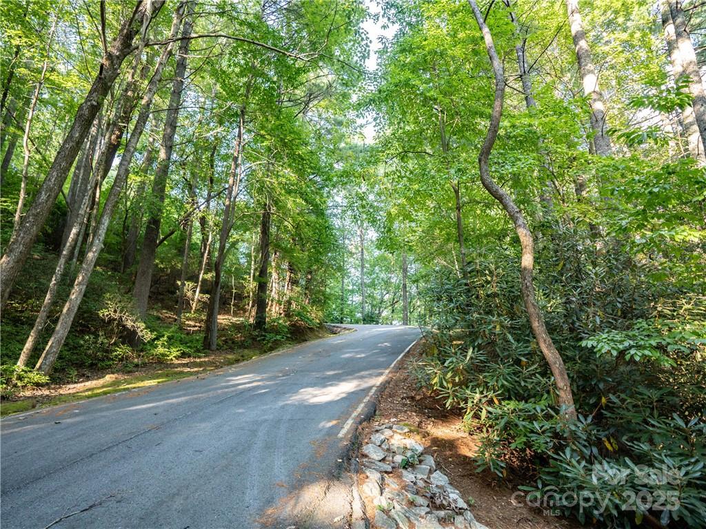 Lake Toxaway Estates - Land