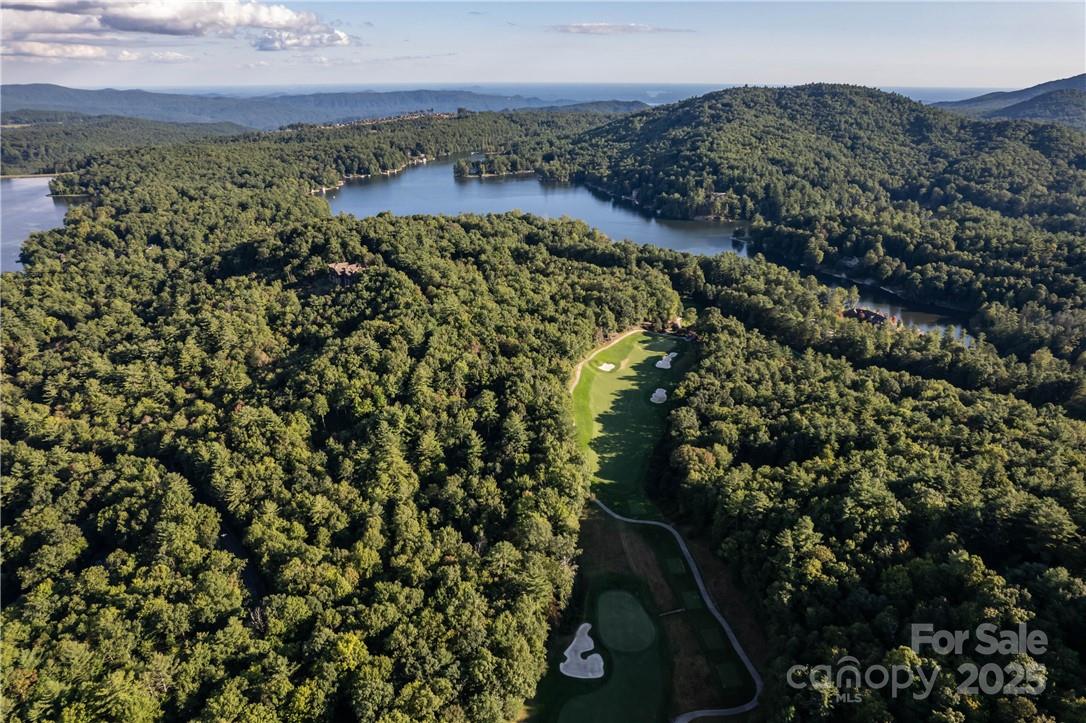 Lake Toxaway Estates - Land