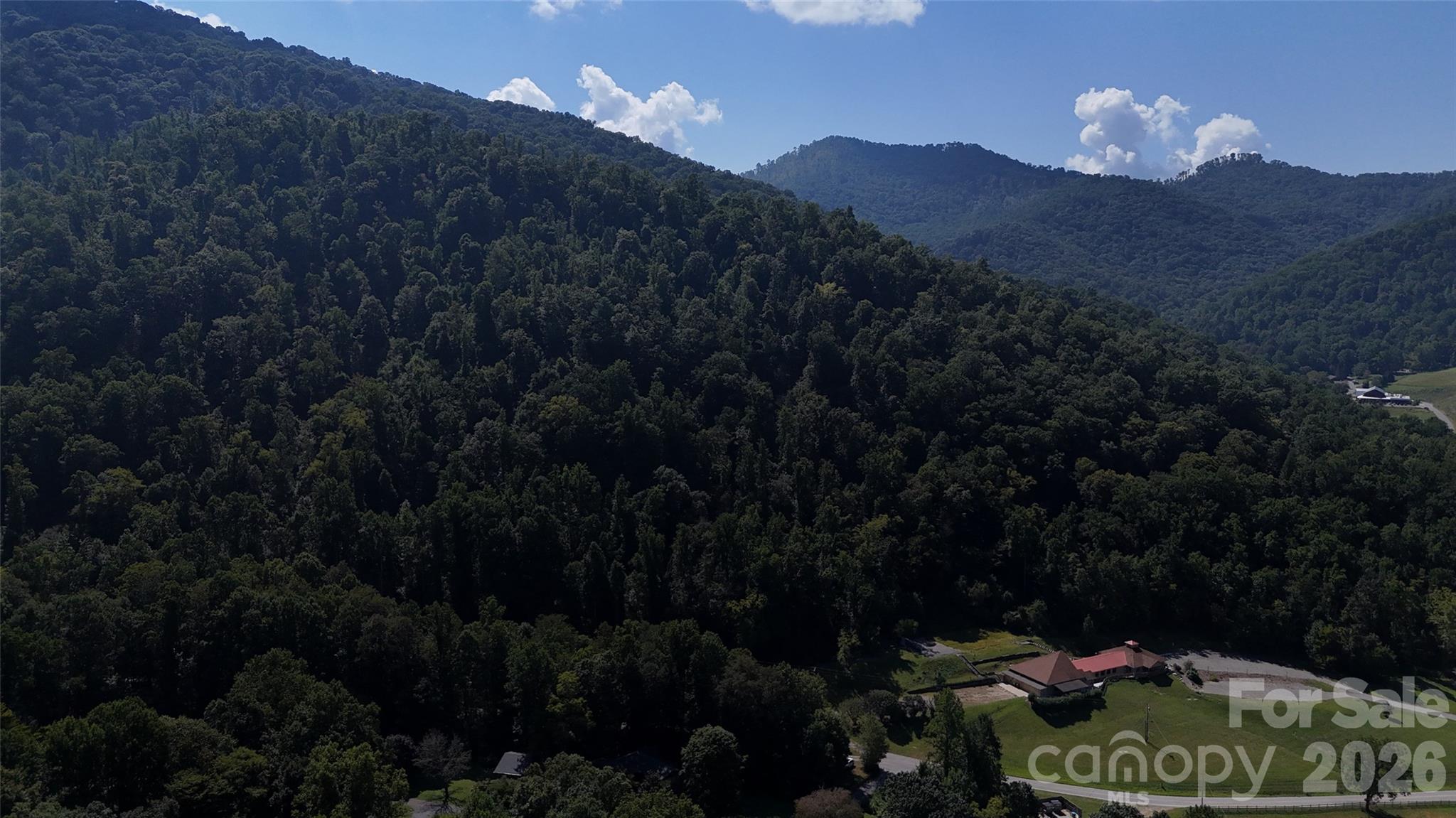 101 ± Acres Timbersong Drive