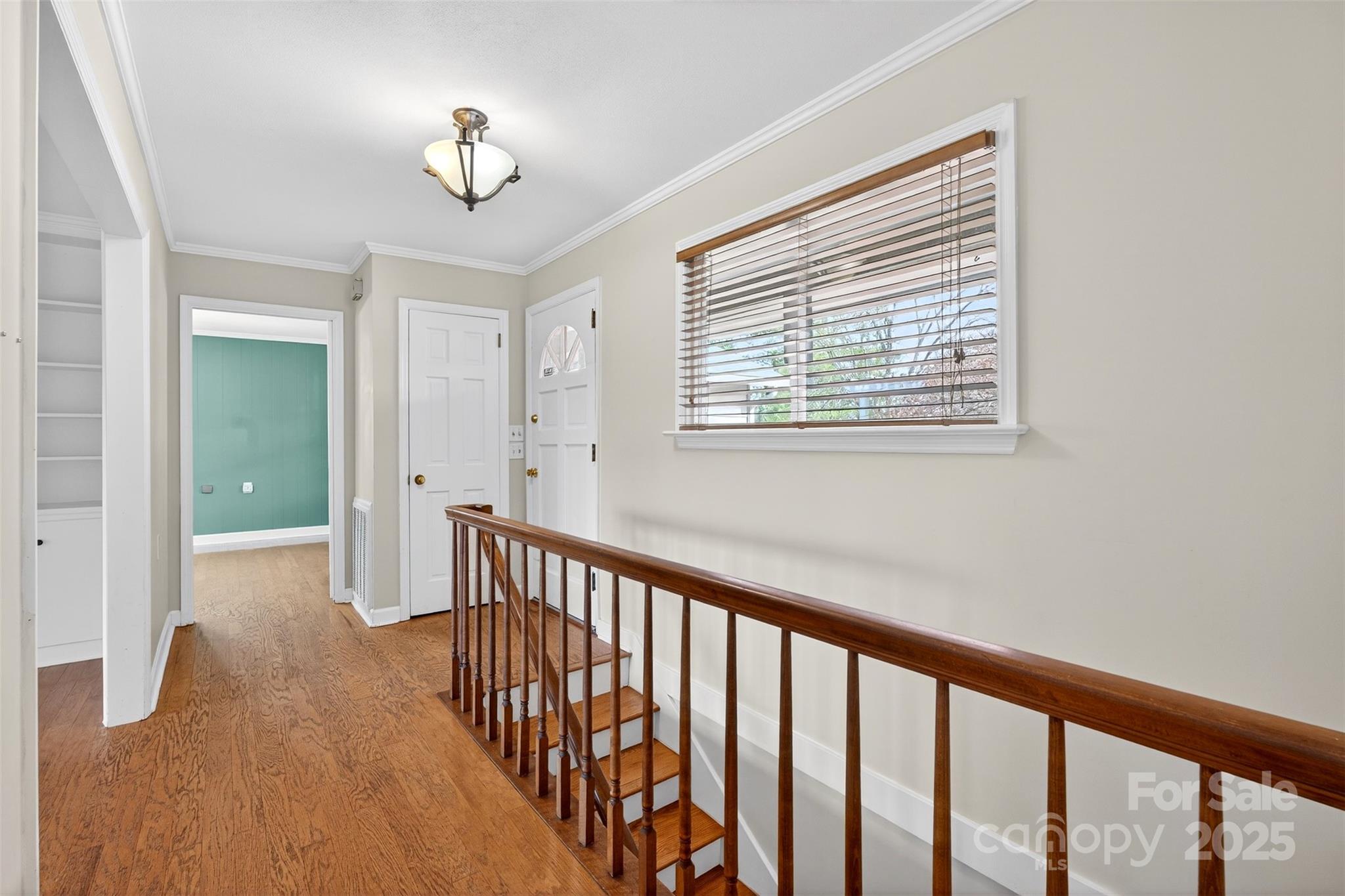 Red Fox - Residential