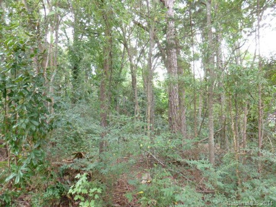 Nice wooded lot in established neighborhood. County water and sewer.
