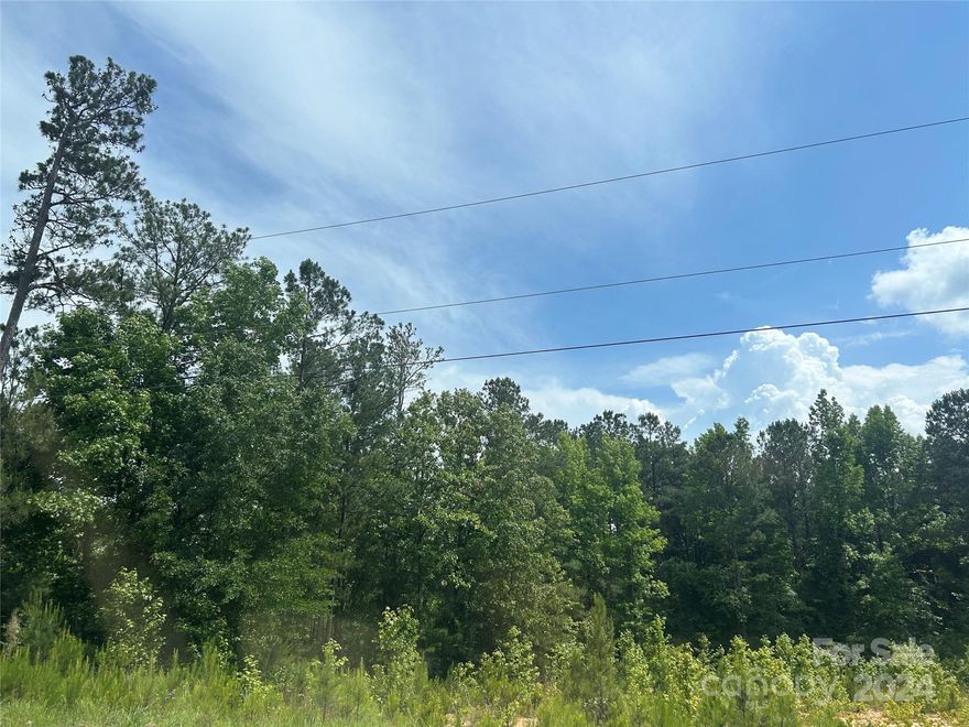 This land is a must see. Land is located in the Historic town of Winnsboro SC. If you are looking for a perfect location for your new home build with lots of  outdoor entertainment, then look no further. This land consist of 2.96 acres of land and it is zoned for single family detached homes. Manufacture homes are allowed and utility access are available. Well and septic are required and this land will not last for long.