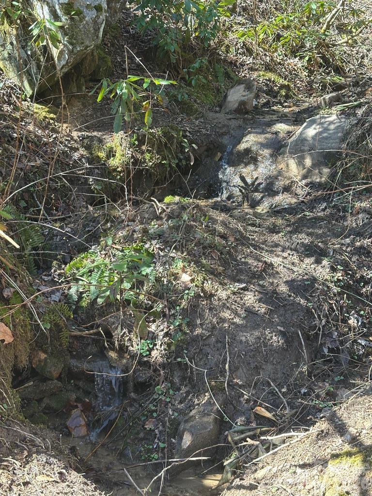 12 Chigger Ridge Road