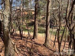 Connestee Falls - Land