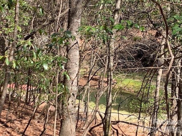 Connestee Falls - Land