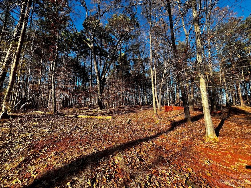 Incredible opportunity to build your DREAM home just minutes from downtown Davidson with low Iredell County taxes in brand-new custom home community, Copper Pine! Estate-sized, wooded homesite with quick access to fabulous boutiques, gourmet restaurants, Village Green Park, and more. A great location for your luxury custom home to be built by repeat "Best of the Lake" winners, AR Homes - Monterey Bay Construction Charlotte. Choose from a wide variety of fully customizable plans, including ranch and 2-story options, or partner with our experienced local team to design and build your one-of-a-kind AR Home, complete with high-end finishes throughout. Call to schedule your personalized design consultation today.