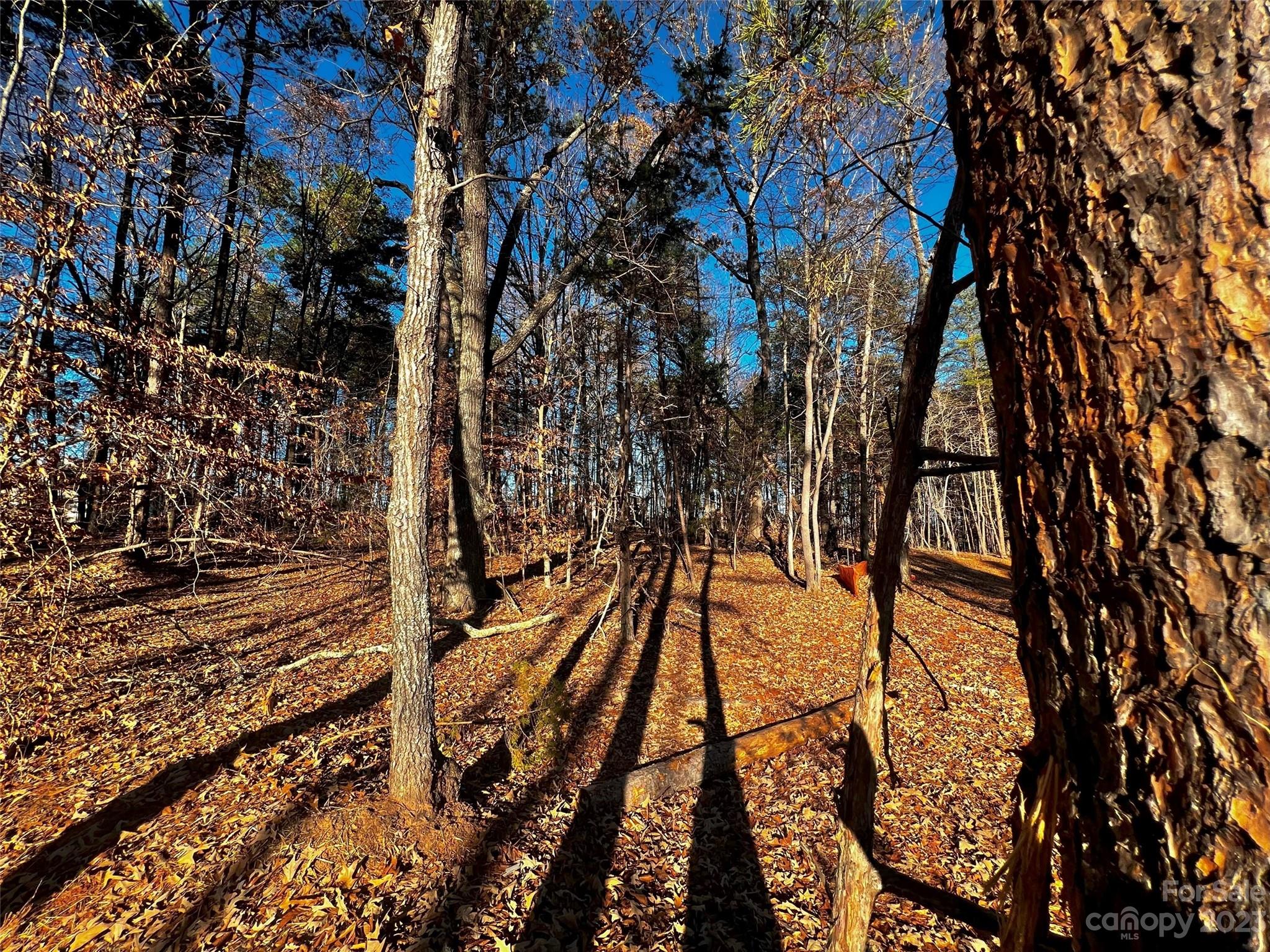 123 Hunt Camp Trail 17