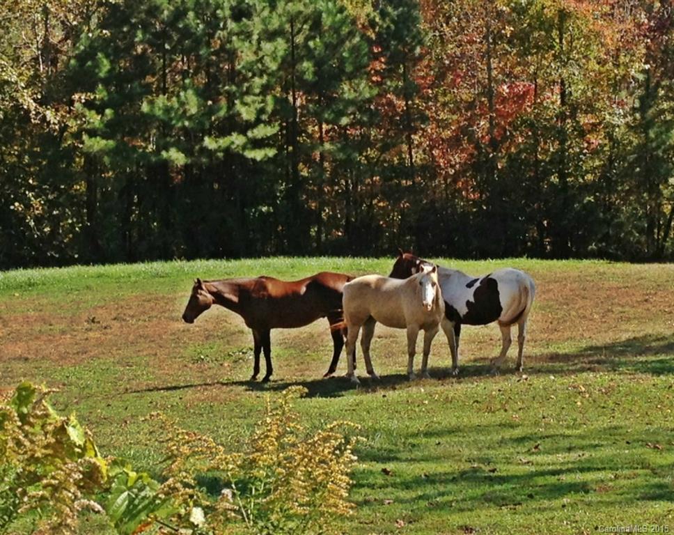 Pinnacle Ridge - Land