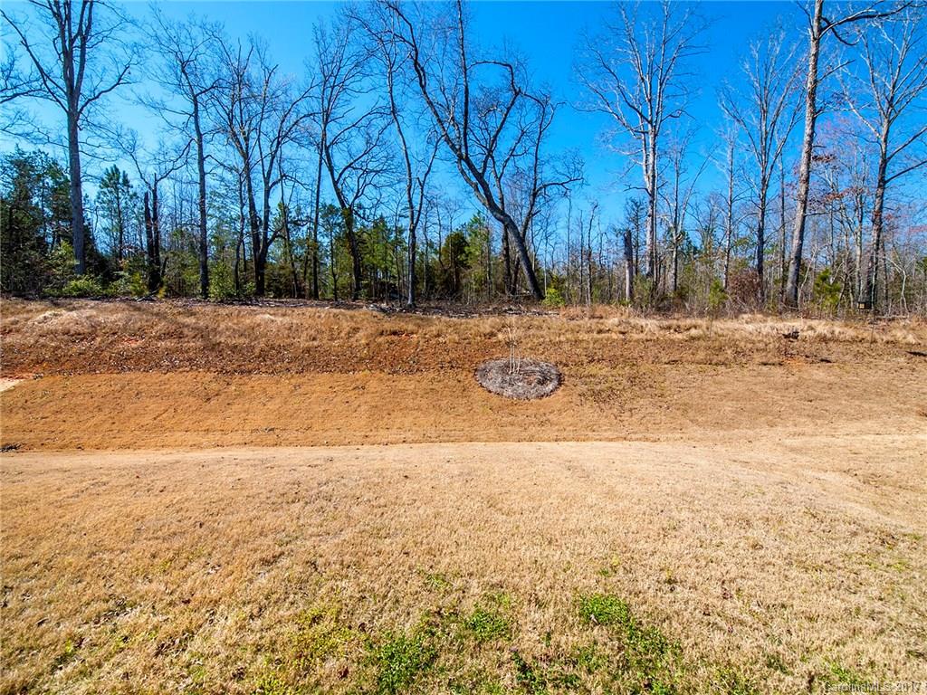 Waterside at the Catawba - Residential