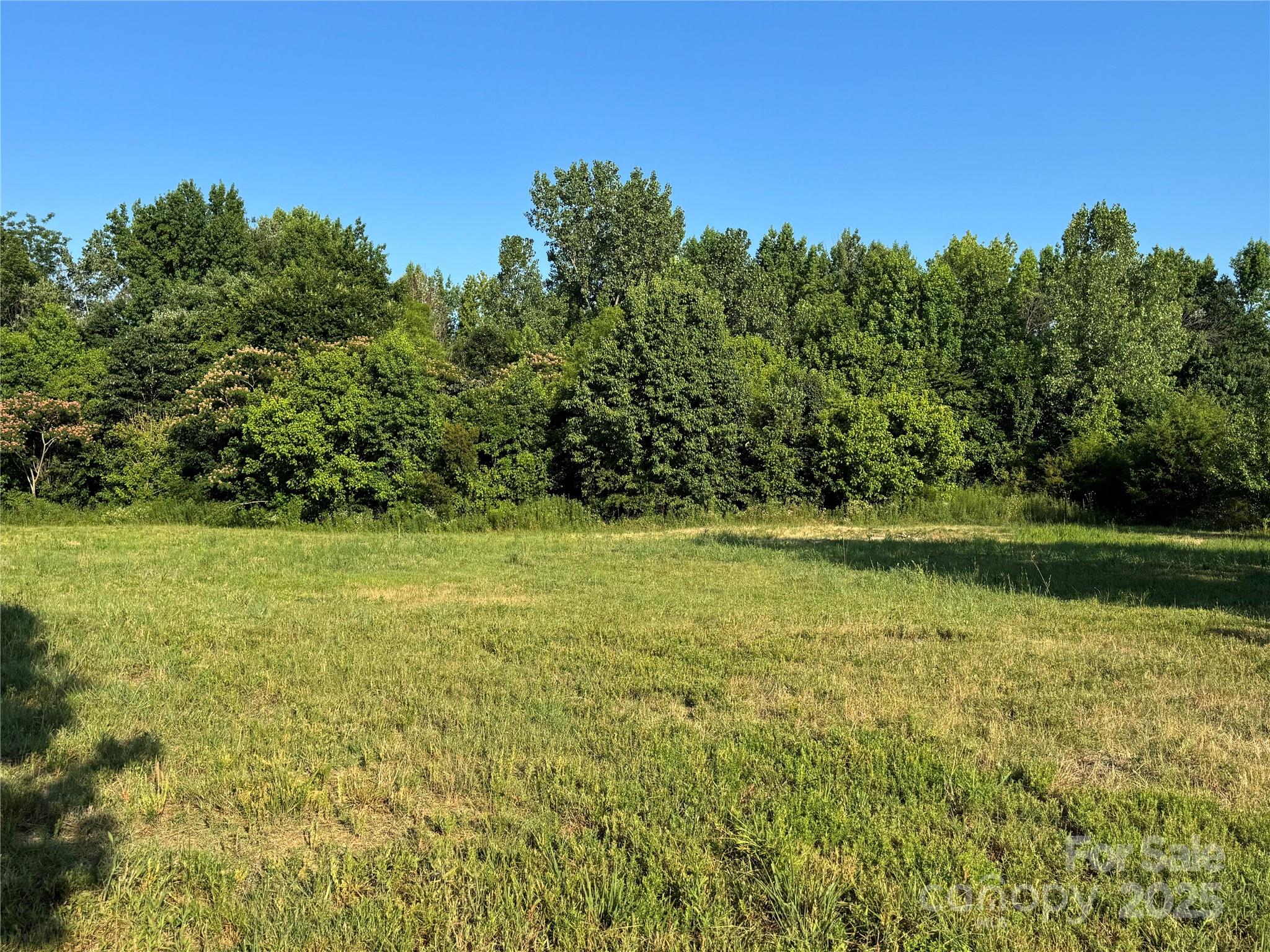 2842 Gray Fox Road