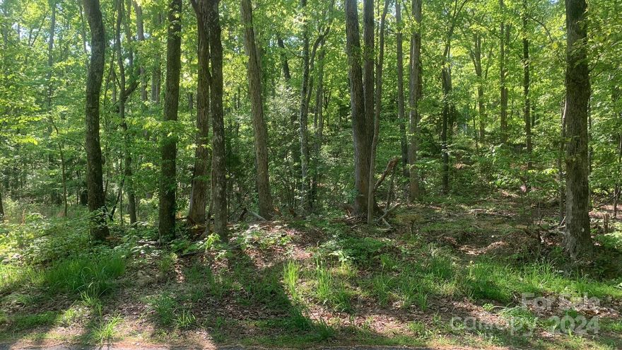 Beautiful 1 acre lot in Blacksburg, SC with mature trees. Located right on the edge of Kings Mountain National Park. Property will need an engineered septic system and is priced accordingly. No HOA!