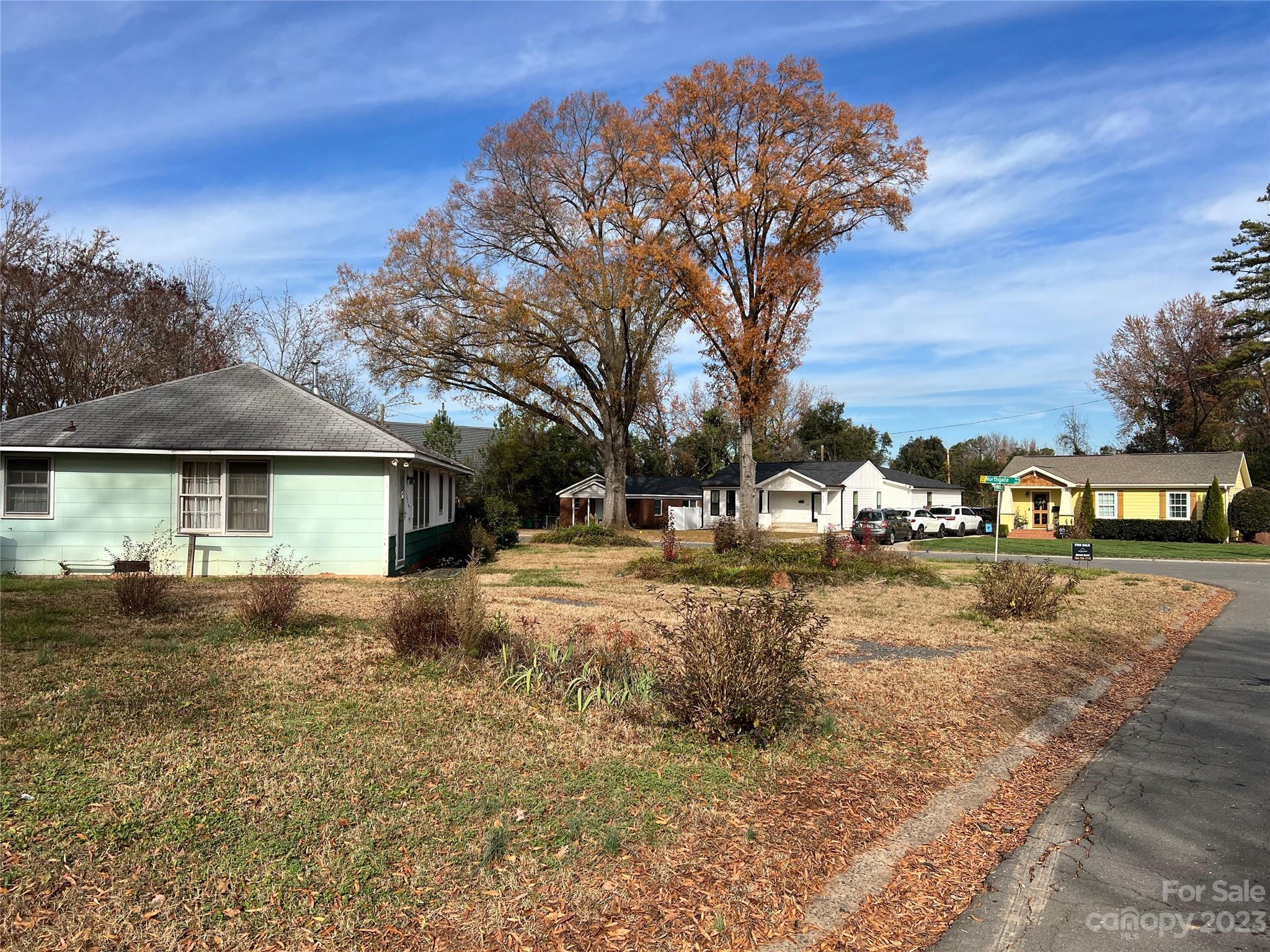 Selwyn Park - Residential