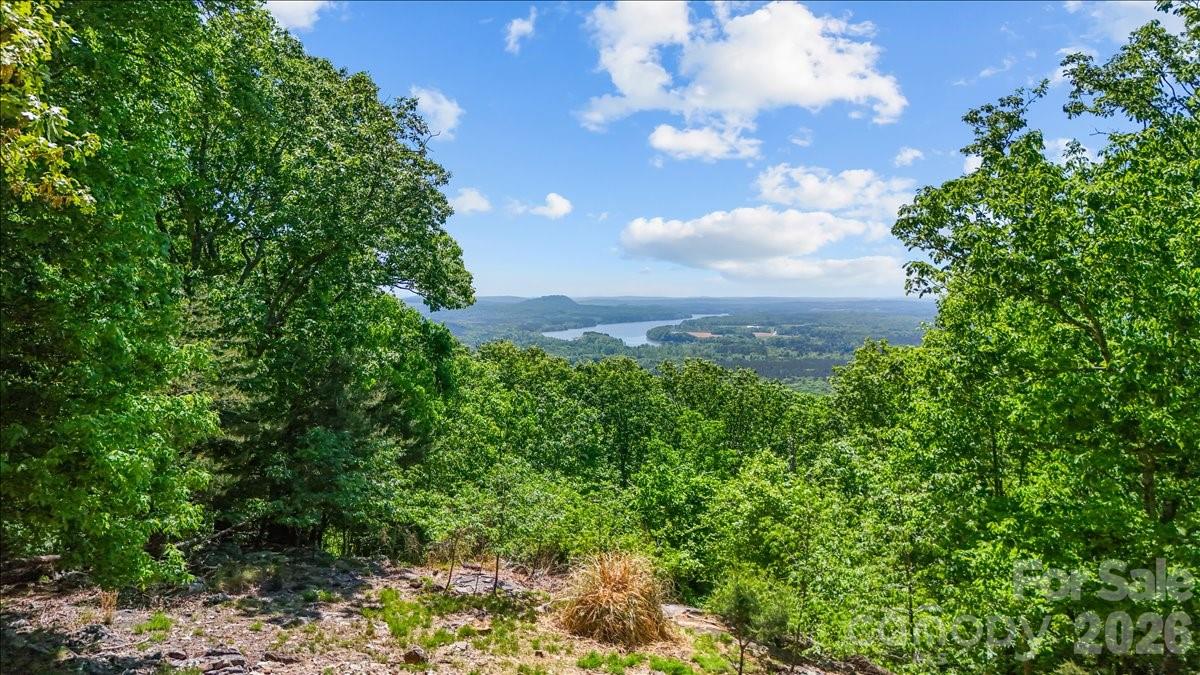 The Springs At High Rock - Residential