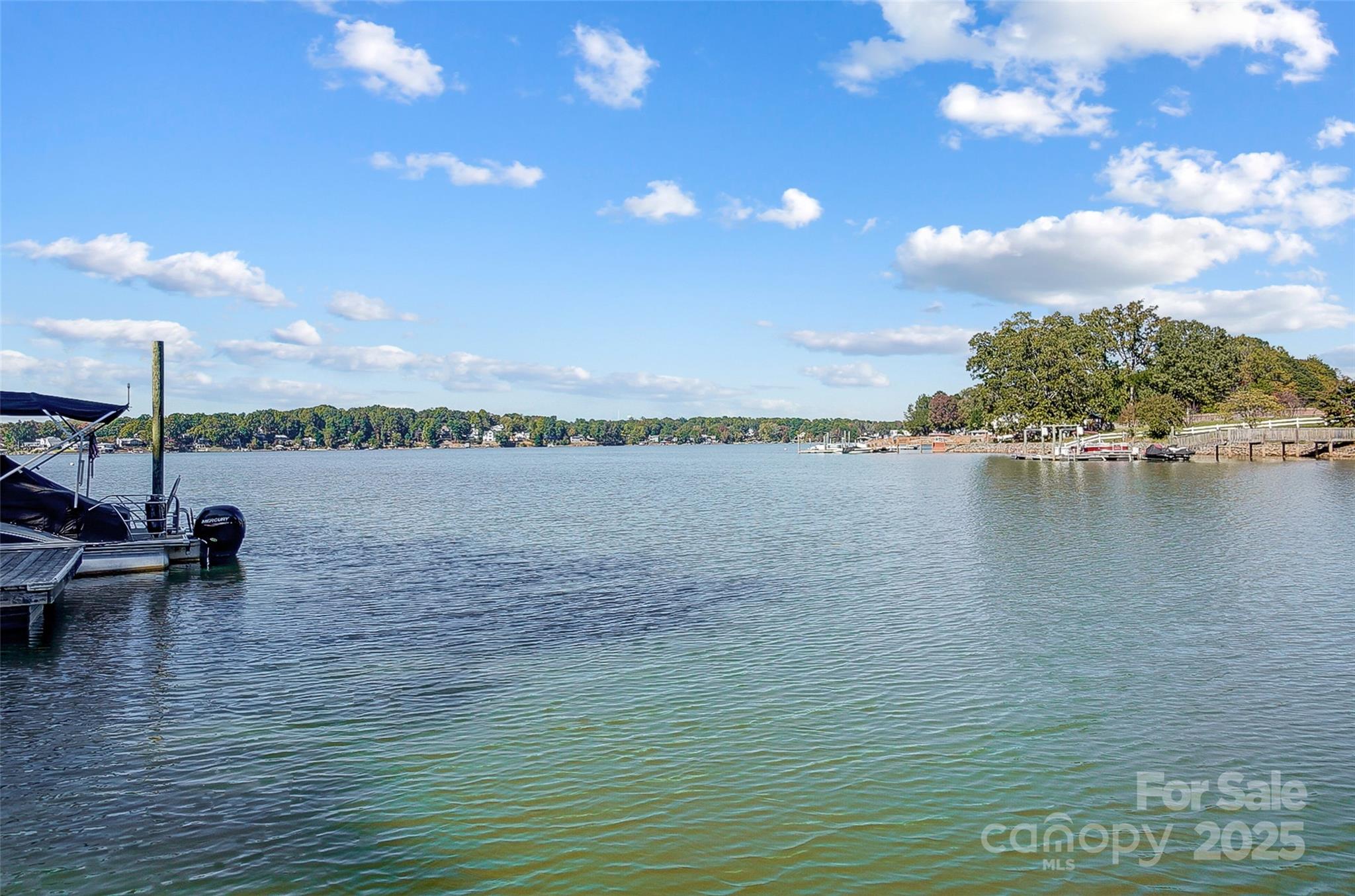Lake Wylie - Residential