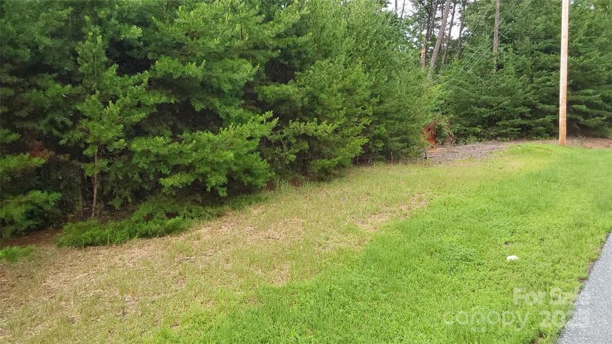 I want to welcome you to the beautiful 9.22 acre blank canvas hidden in the gorgeous Yellowtop Mountain Estates, located about 10 minutes outside the town square of Bostic NC, If you are tired of a fast paced life and want to relax, but not so far away you can't get to Asheville, or Charlotte for work or play, this is where you want to be, depending on how you build here you can have a beautiful NW to SW view of the porch with a little more clearing, or have a long driveway leading to a tucked away homeplace, I invite you to come check it out!!!!