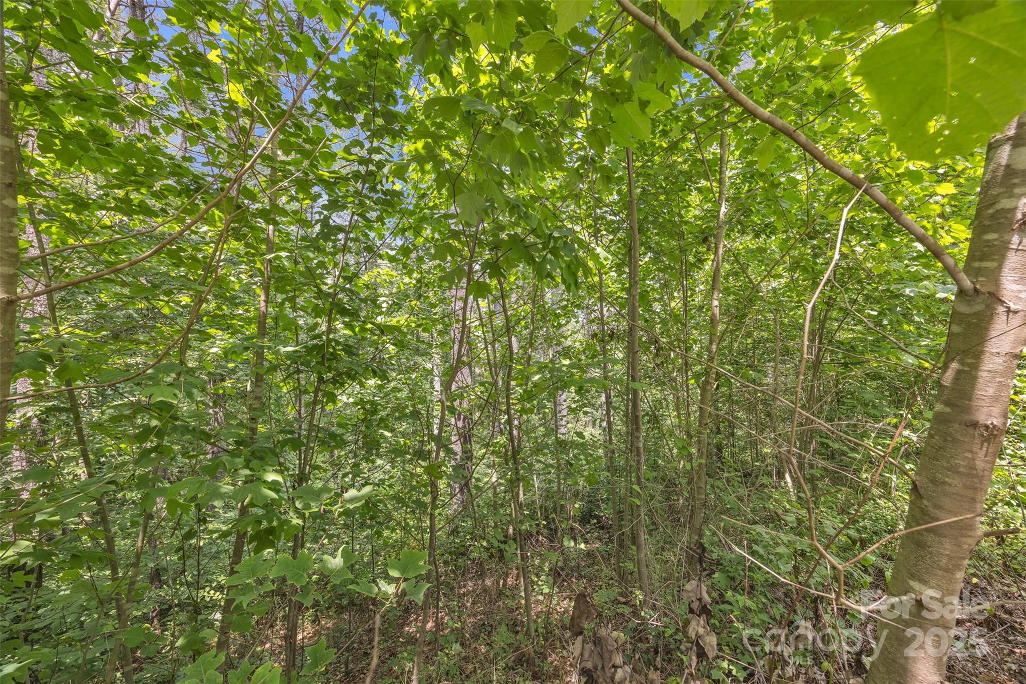 486 E Settings Boulevard NW 252