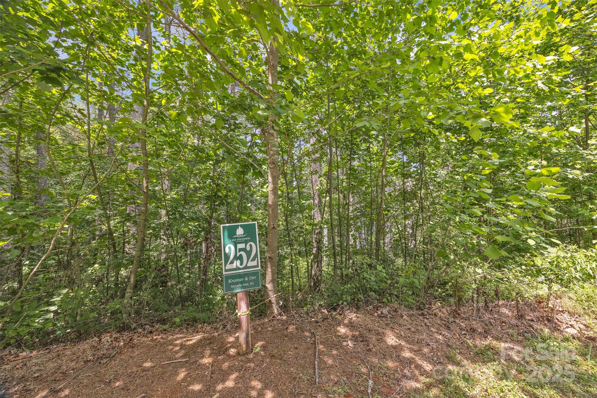 Lake Rhodhiss Estates - Land