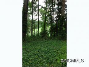 Biltmore Forest - Land