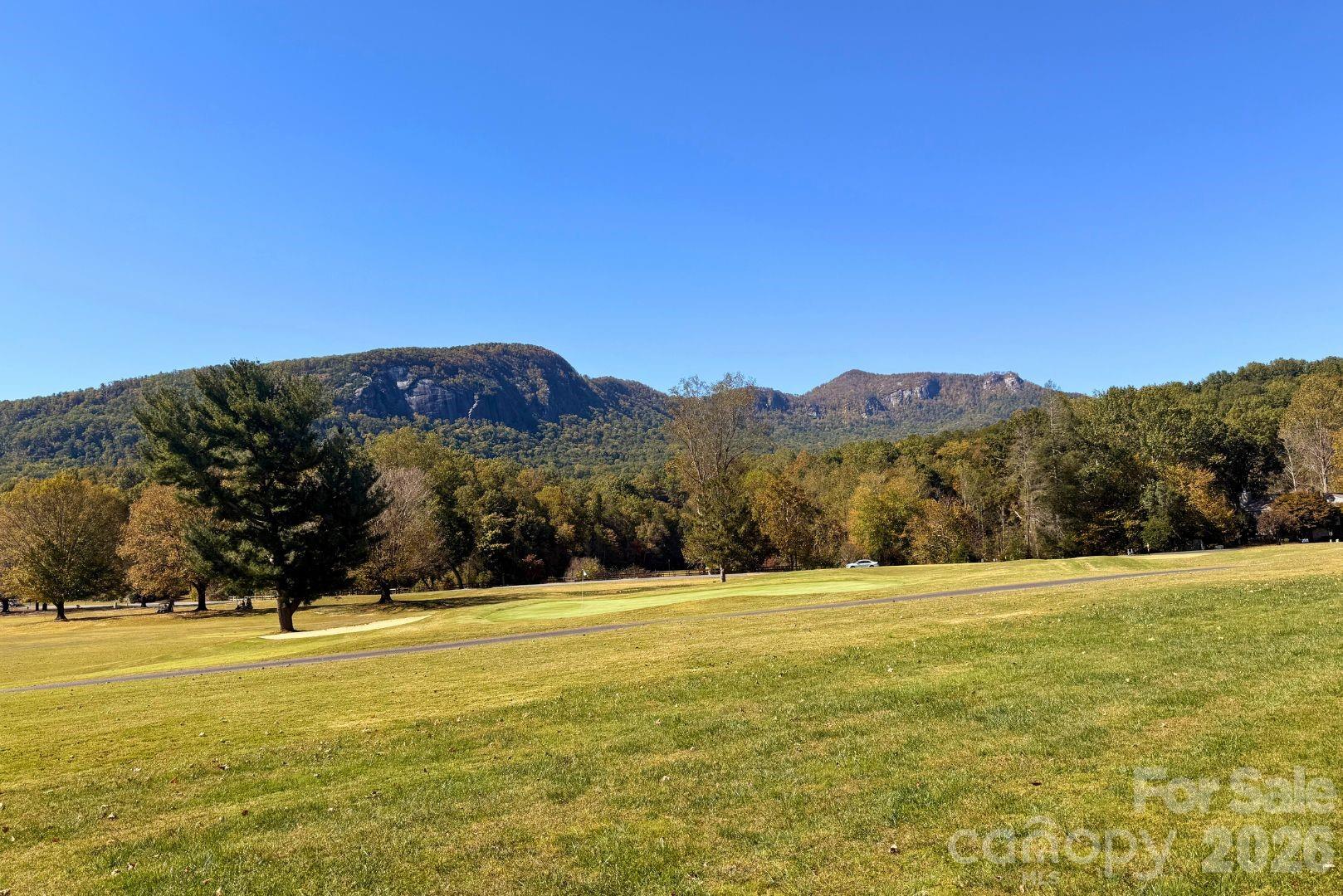 Rumbling Bald on Lake Lure - Residential