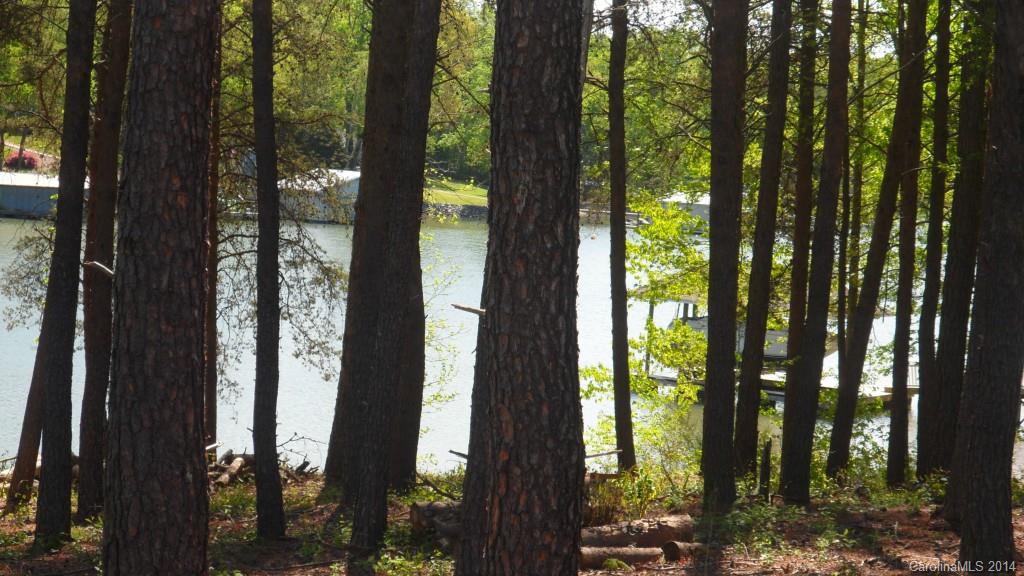 Handsmill On Lake Wylie - Land