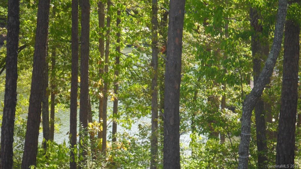 Handsmill On Lake Wylie - Land