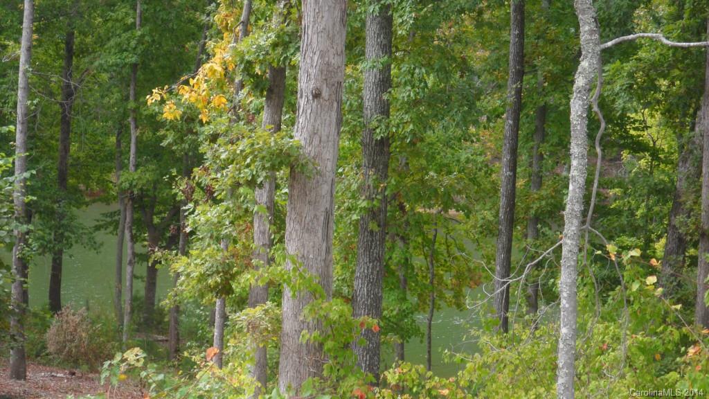 Handsmill On Lake Wylie - Land