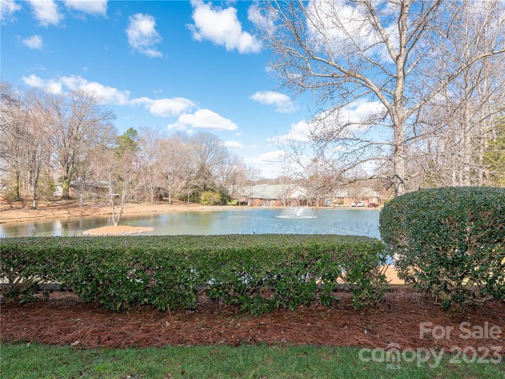 Mint Lake Village - Residential