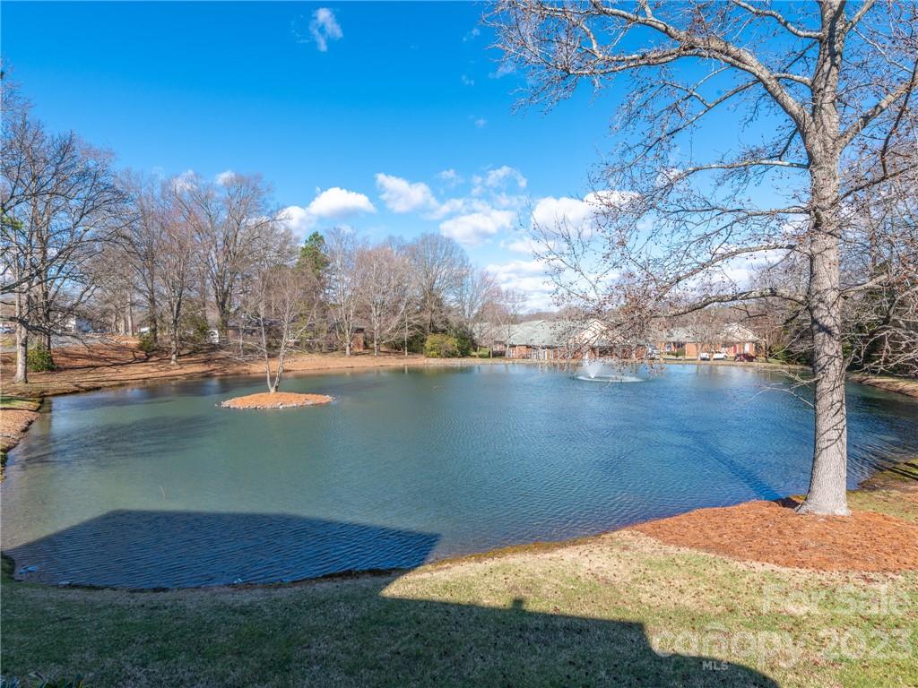 Mint Lake Village - Residential