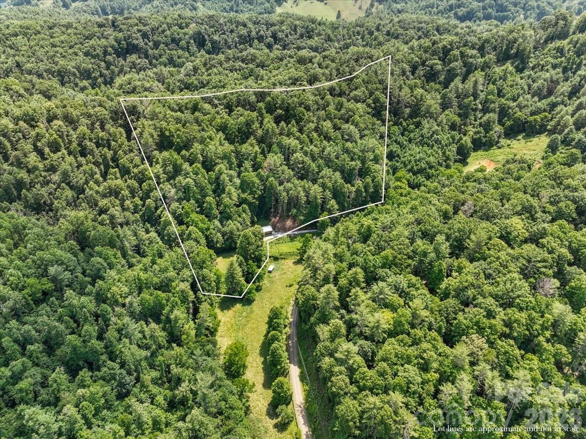 323 Mccurrey Road