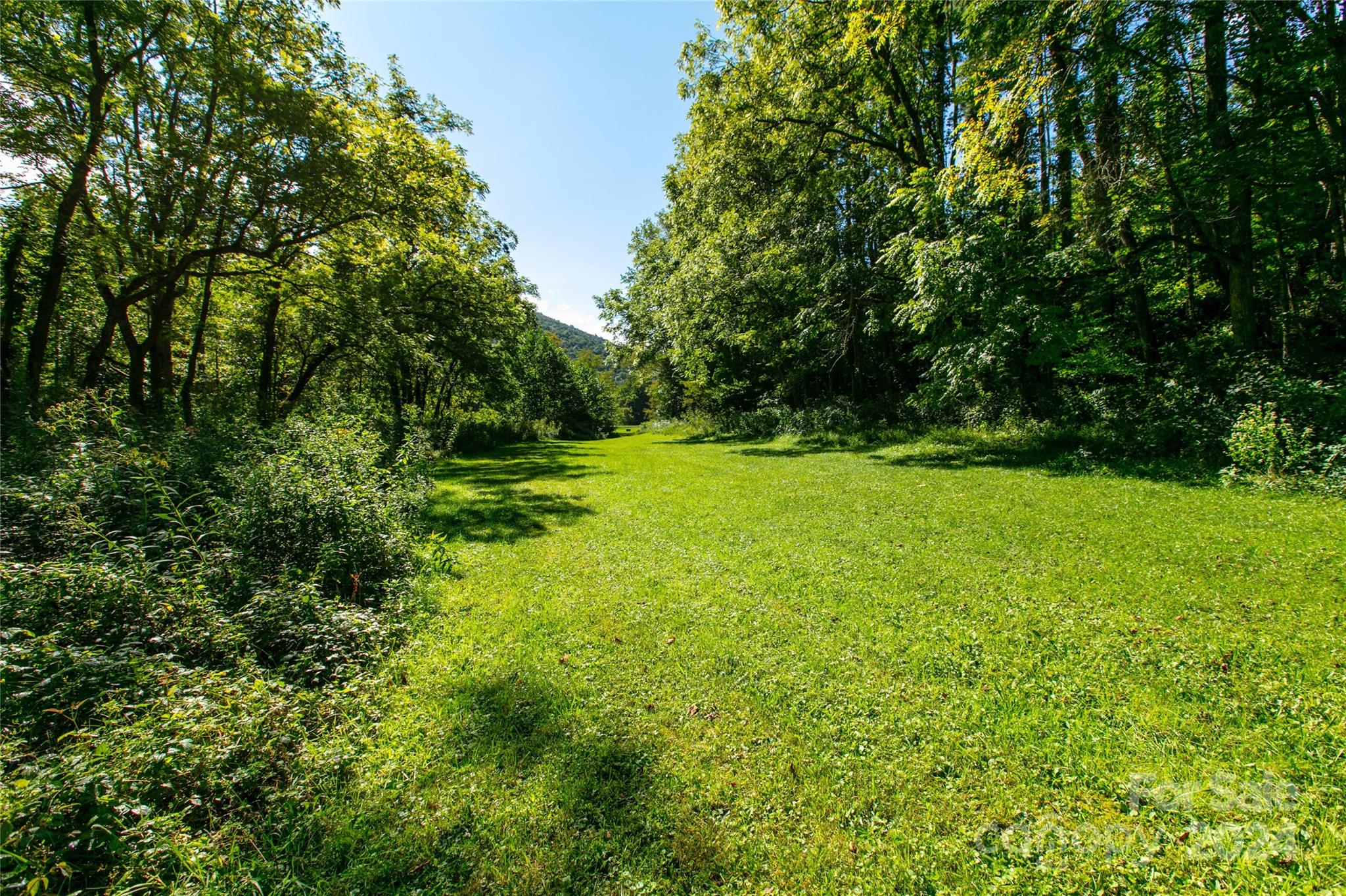 00000 Scout Trail 14