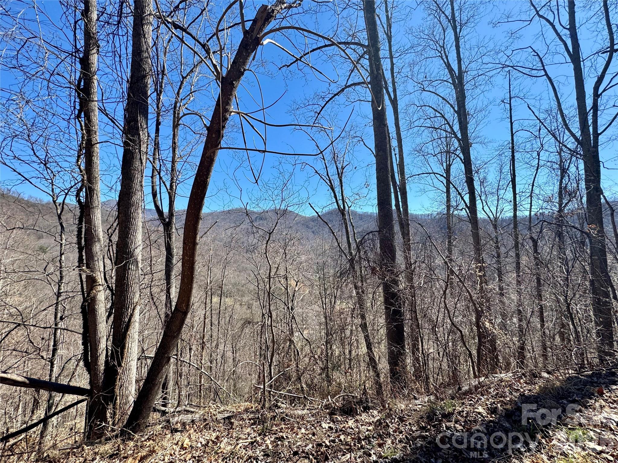 99999 North Fork Road