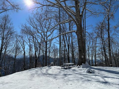 99999 North Fork Road Barnardsville NC 28709