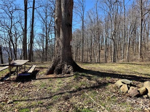99999 North Fork Road Barnardsville NC 28709